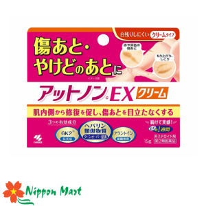 Kem bôi liền sẹo Kobayashi 15g (cream type)