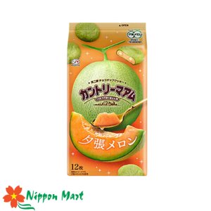 (date 2/2026) Bánh cookie dưa lưới Fujiya 12 cái