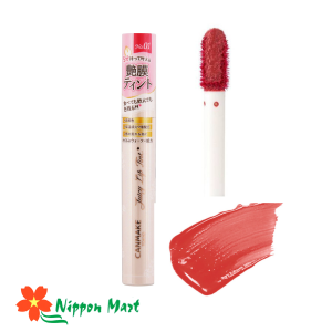 Son CANMAKKE juicy lip tint 01 antique rose