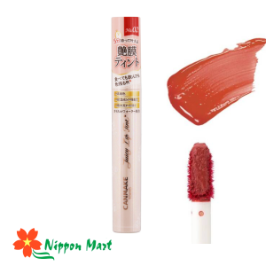 Son Canmake juicy lip tint màu 02 cinnamon apple